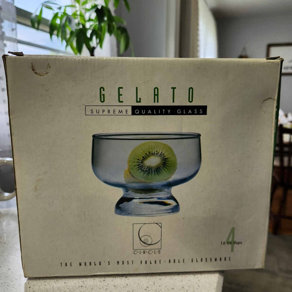 COPY - NWT Circle Gelato Bowls Set of 4 !